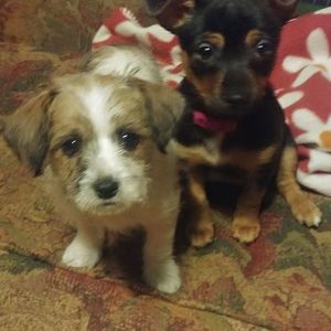 Meet your Posher, Kelsey